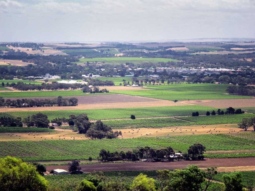 PRIVATE Barossa Valley Tour with Lunch